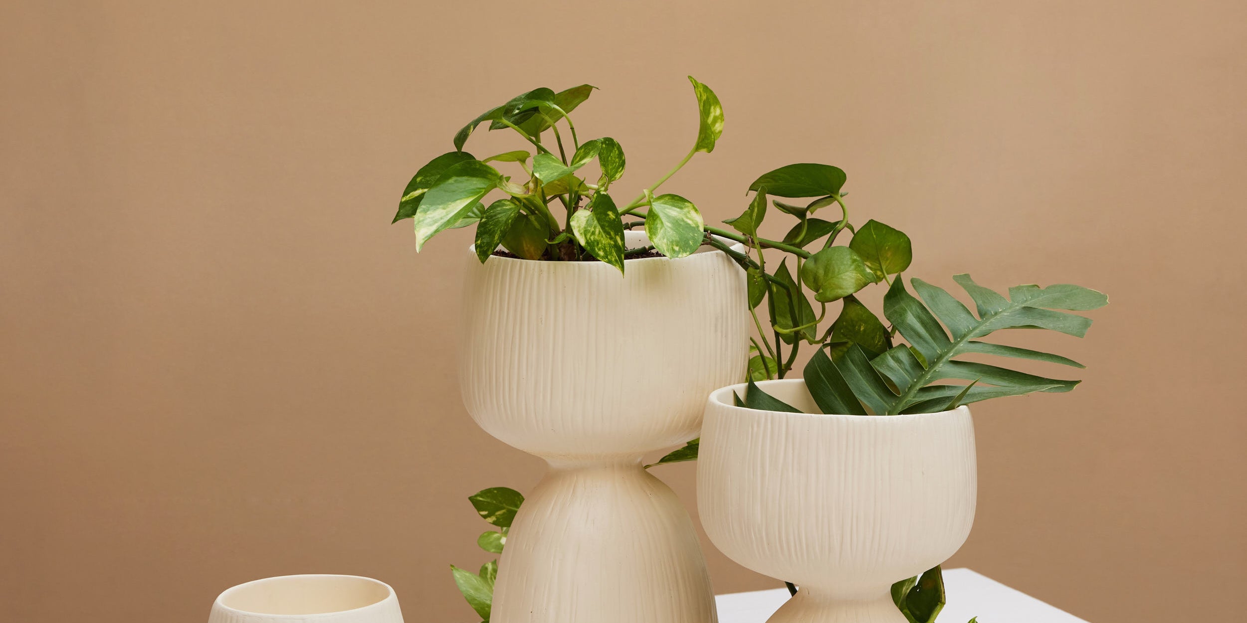 Planters &amp; Vases