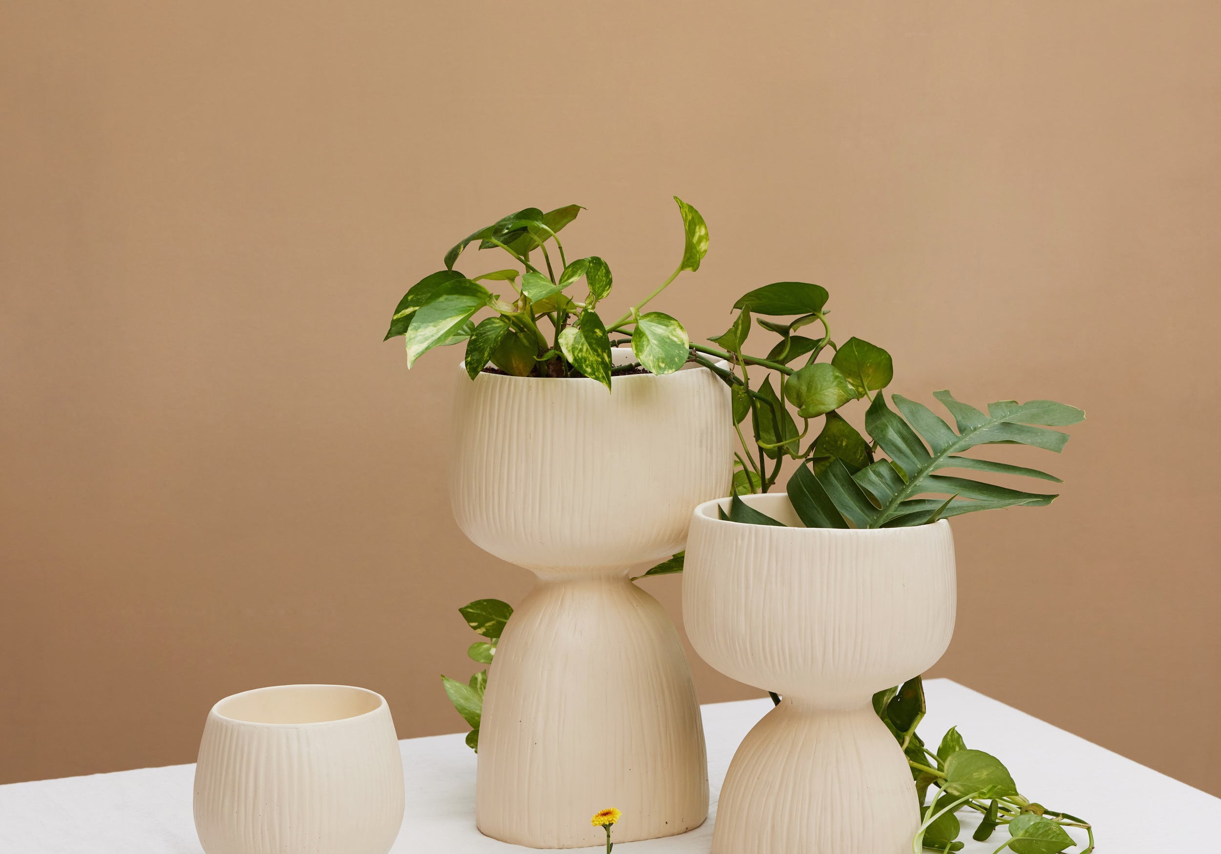 Planters & Vases