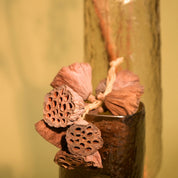 Natural Dried Lotus Pods
