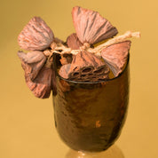 Natural Dried Lotus Pods
