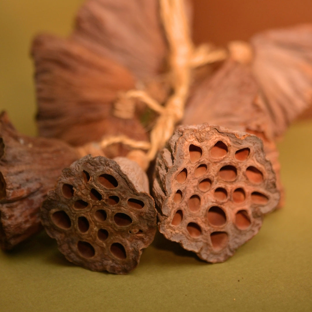 Natural Dried Lotus Pods