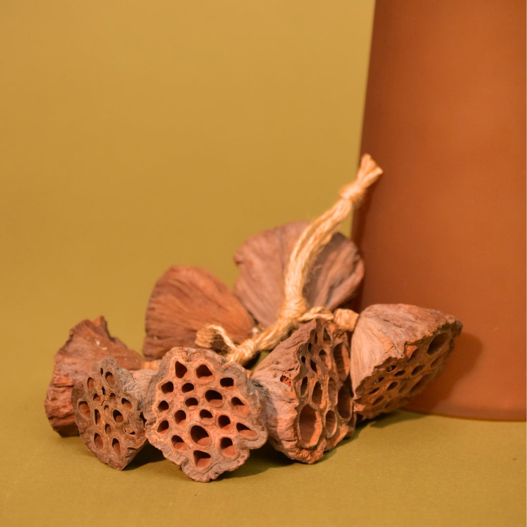 Natural Dried Lotus Pods