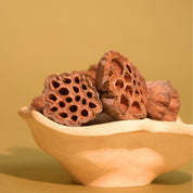 Natural Dried Lotus Pods