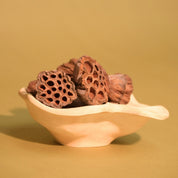 Natural Dried Lotus Pods