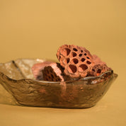 Natural Dried Lotus Pods