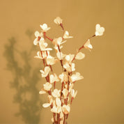 Natural Dried Rud Sticks