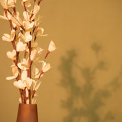 Natural Dried Rud Sticks