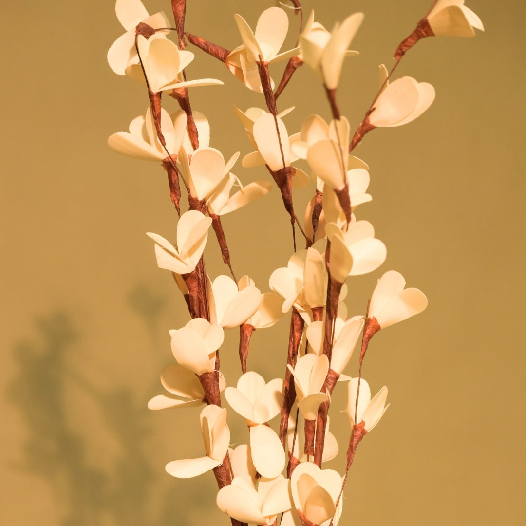 Natural Dried Rud Sticks