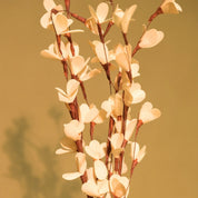 Natural Dried Rud Sticks