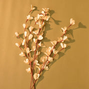 Natural Dried Rud Sticks