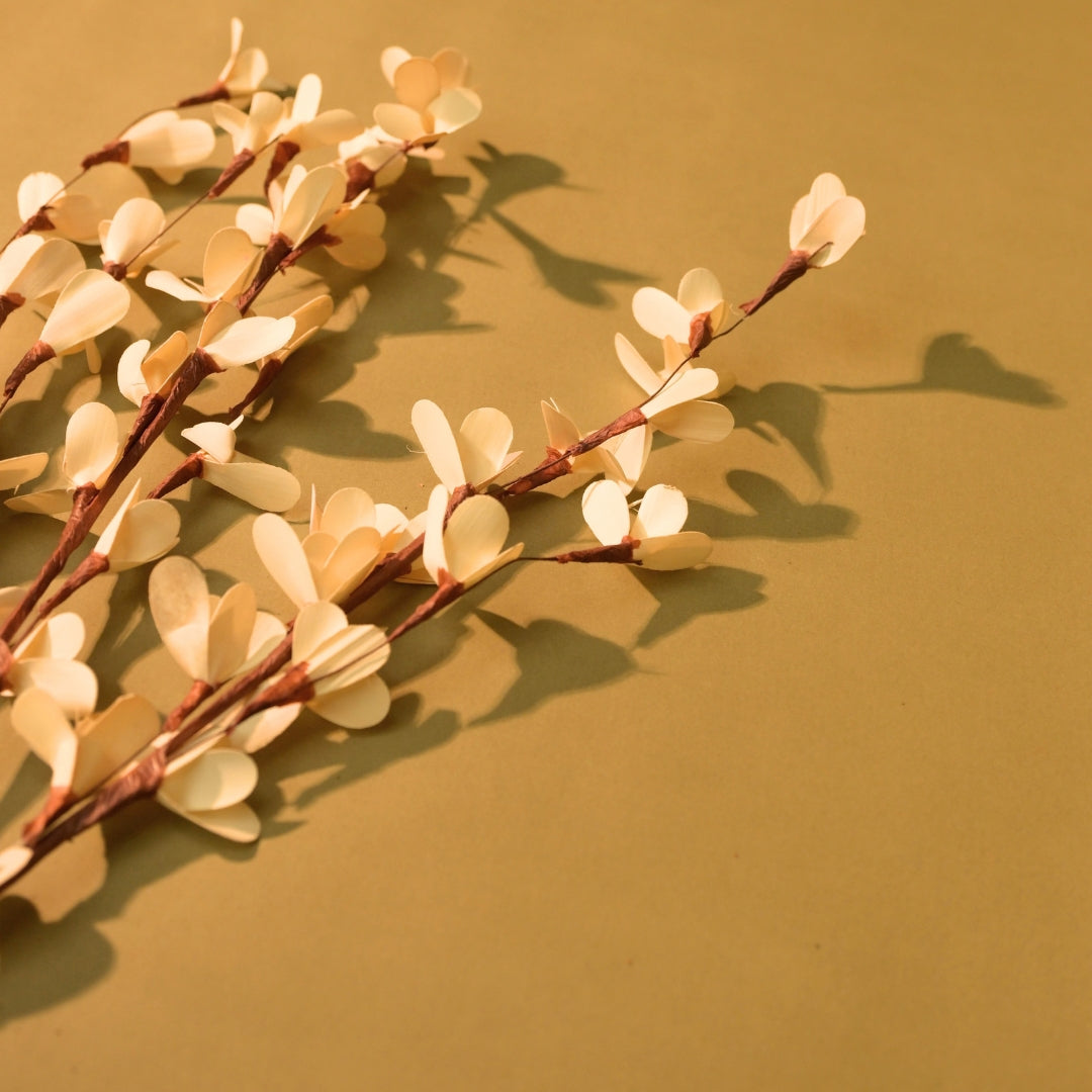 Natural Dried Rud Sticks
