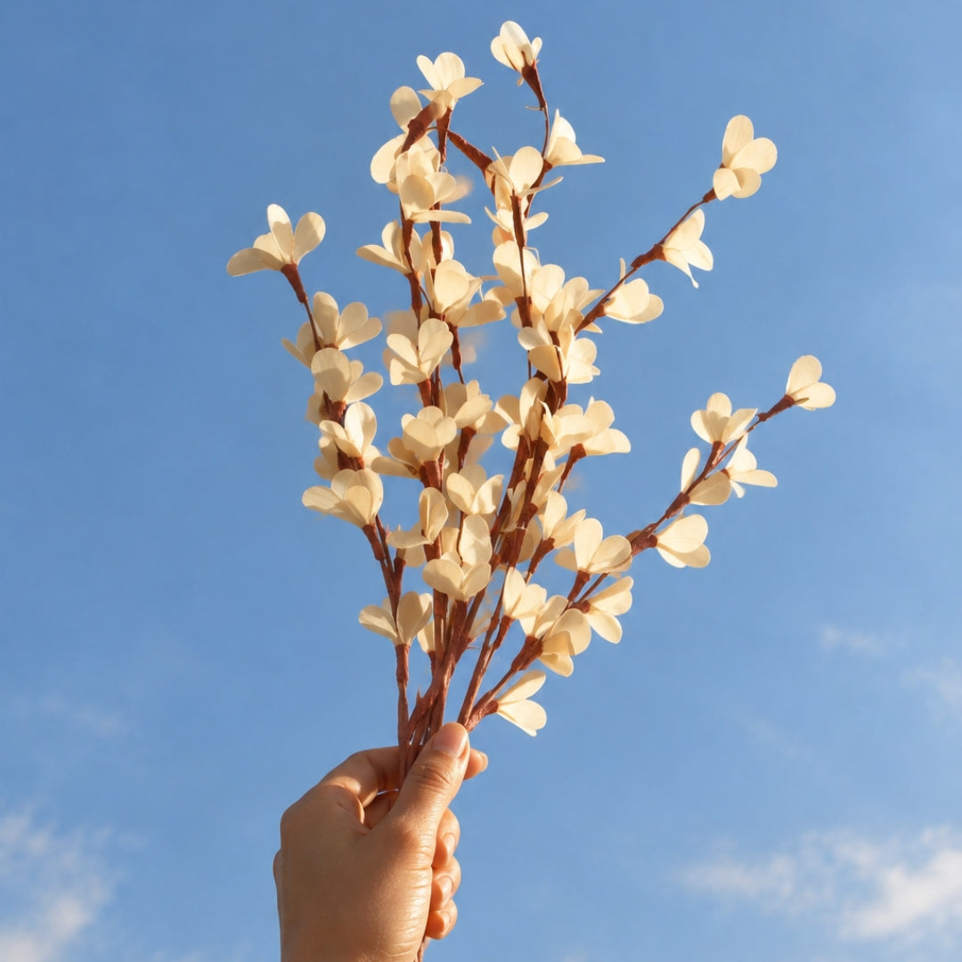 Natural Dried Rud Sticks
