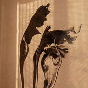 Natural Dried Natraj Branches