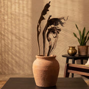 Natural Dried Natraj Branches