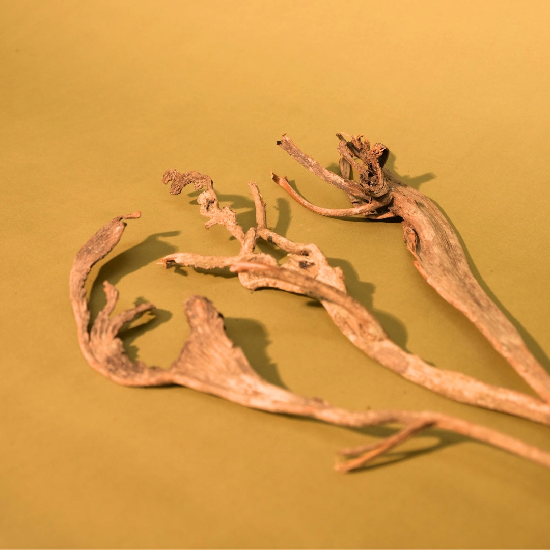 Natural Dried Natraj Branches