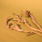 Natural Dried Natraj Branches