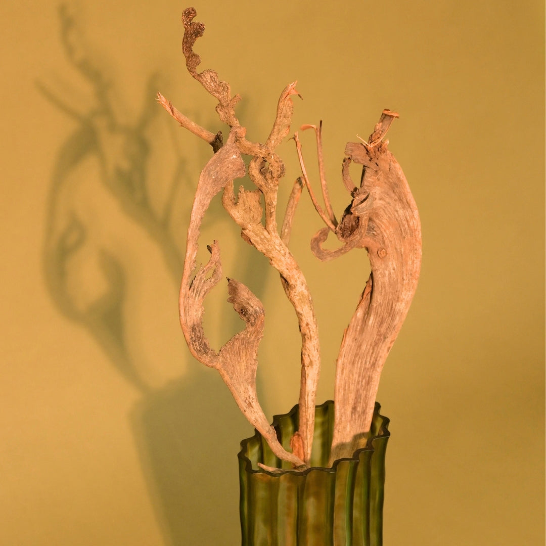 Natural Dried Natraj Branches