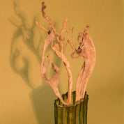 Natural Dried Natraj Branches