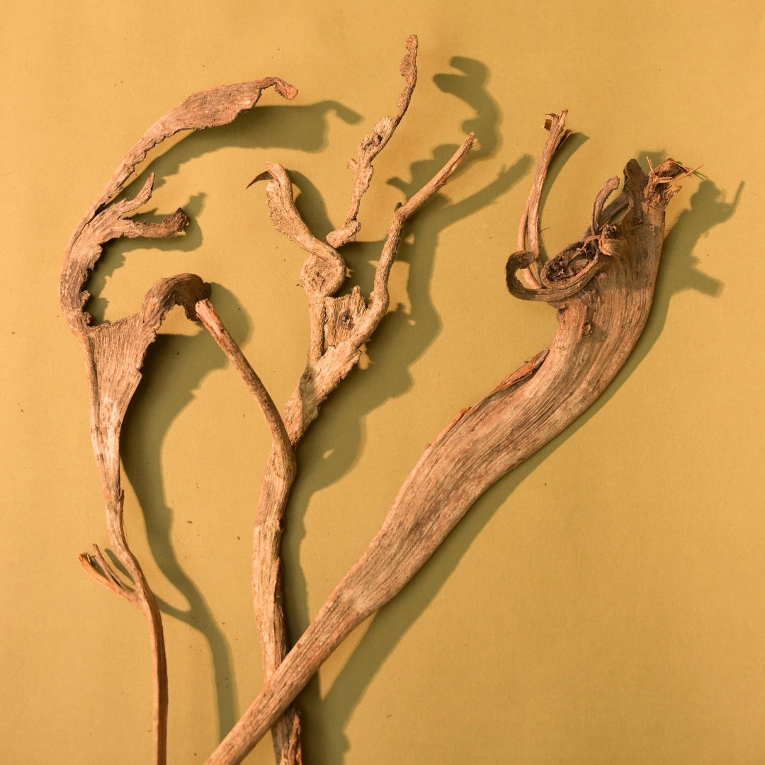Natural Dried Natraj Branches