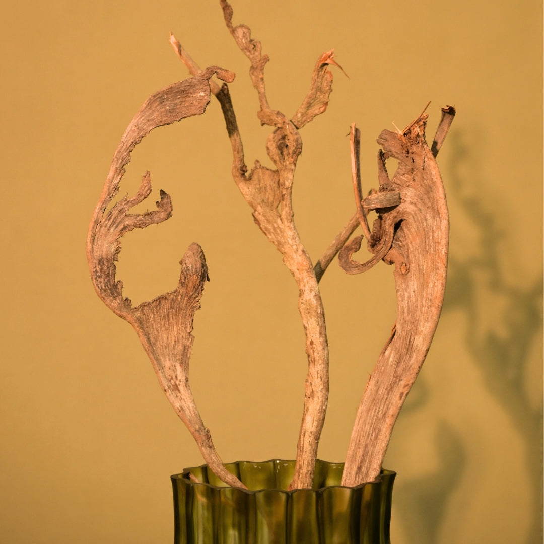 Natural Dried Natraj Branches