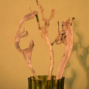 Natural Dried Natraj Branches