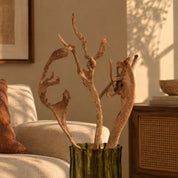 Natural Dried Natraj Branches
