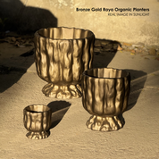 Bronze Gold Raya Organic Planter
