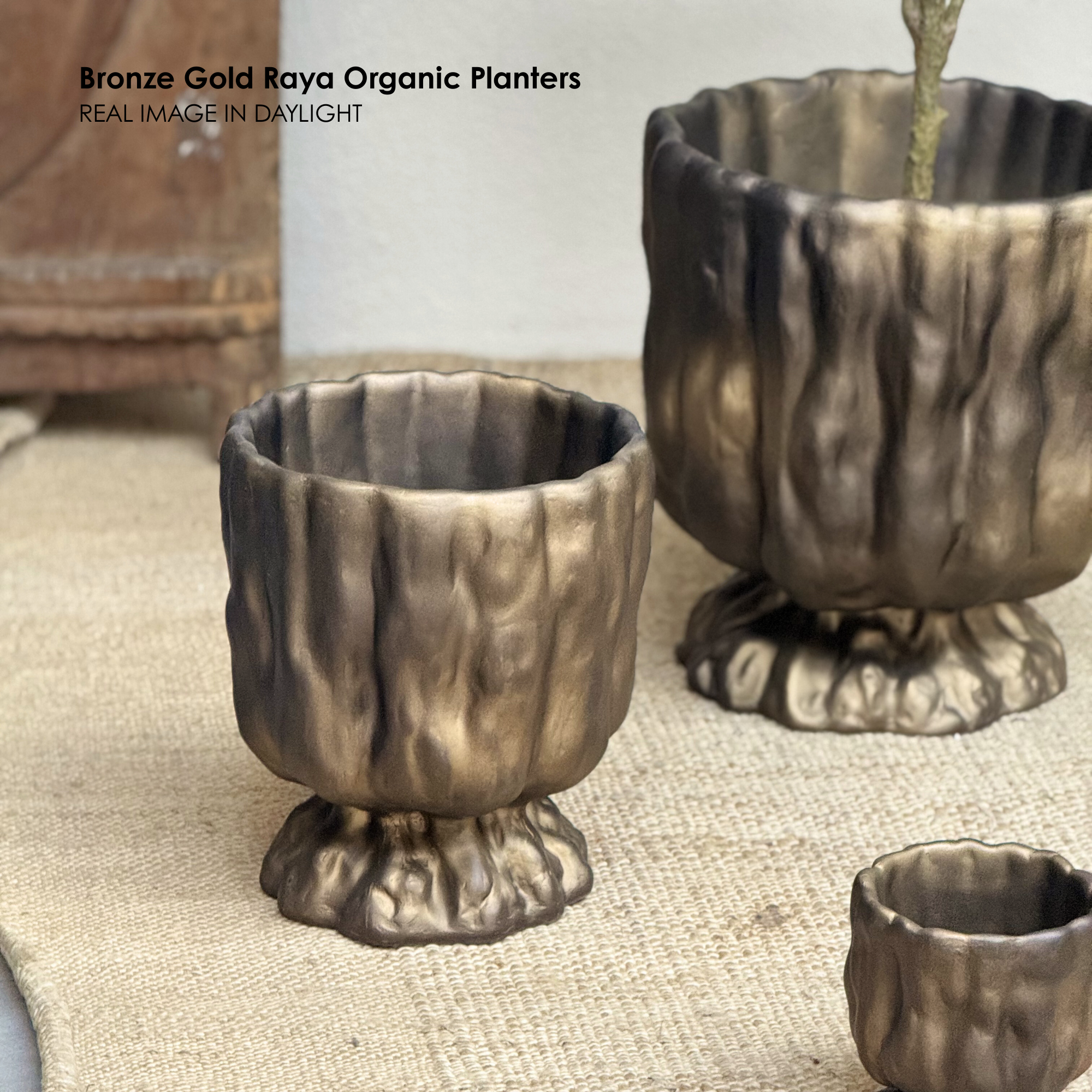Bronze Gold Raya Organic Planter