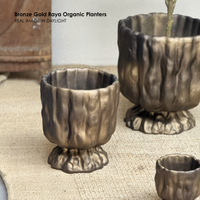 Bronze Gold Raya Organic Planter
