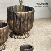 Bronze Gold Raya Organic Planter