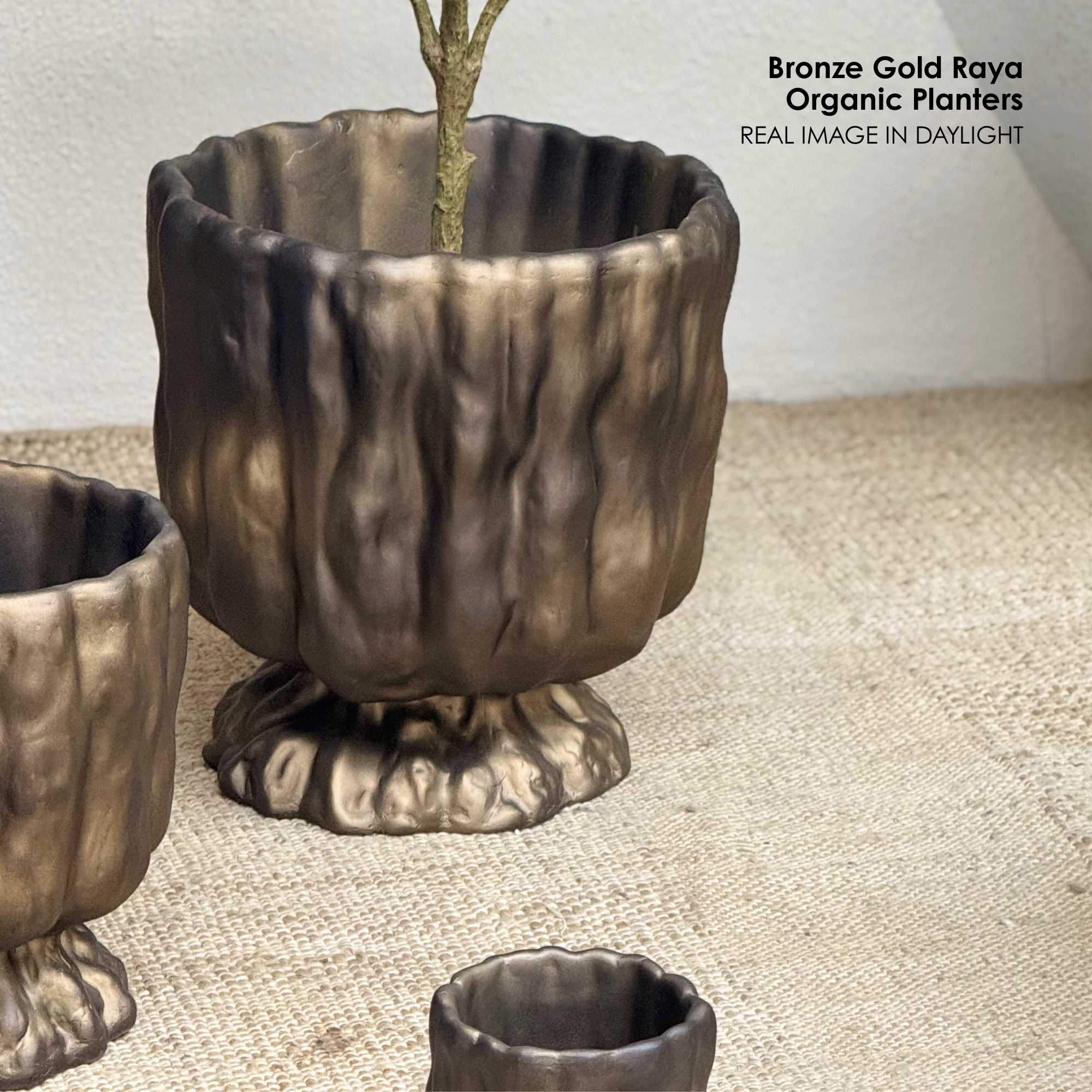 Bronze Gold Raya Organic Planter