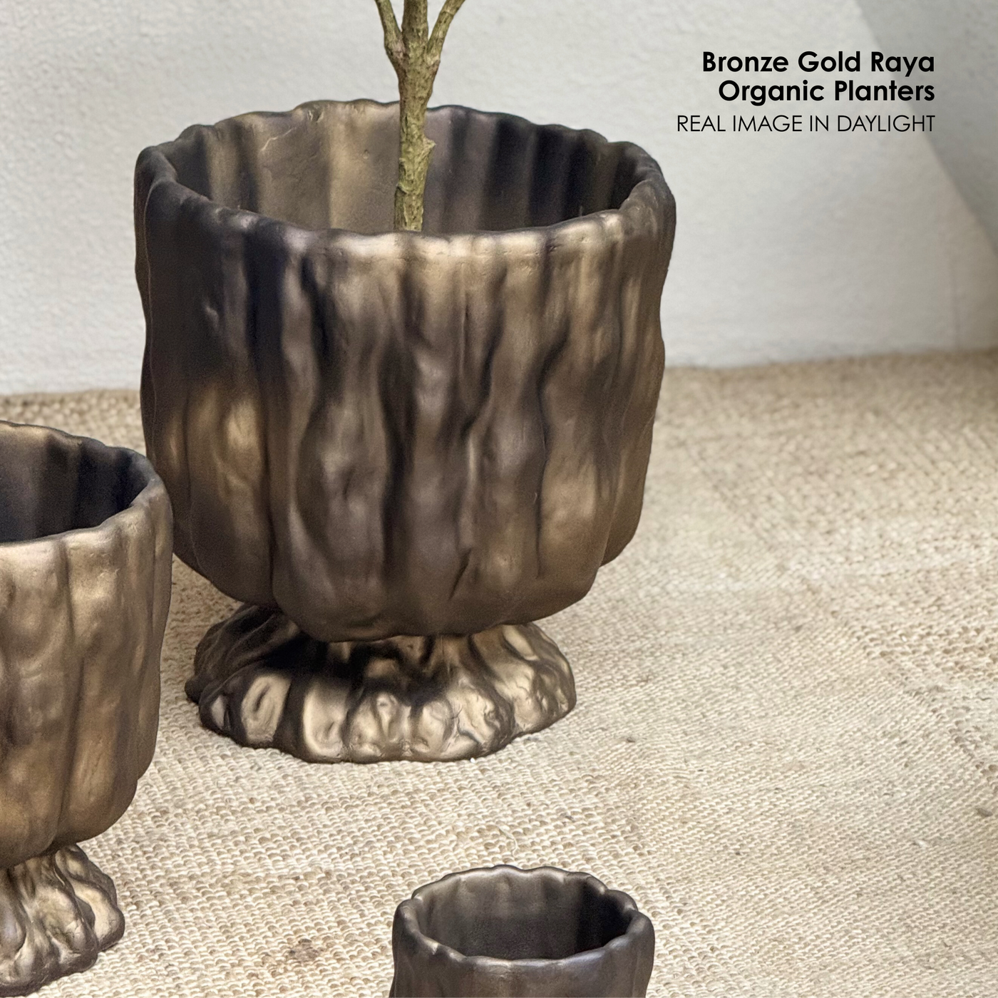 Bronze Gold Raya Organic Planter