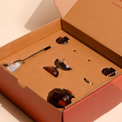 Muun Gift Box - Short Diya + Glass Bell + Kalash Collection