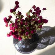 Natural Dried Gomphrena Flower Bunch