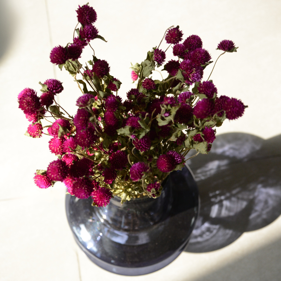 Natural Dried Gomphrena Flower Bunch