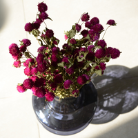 Natural Dried Gomphrena Flower Bunch