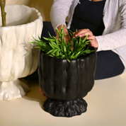 Raya Organic Planter