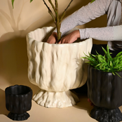 Raya Organic Planter