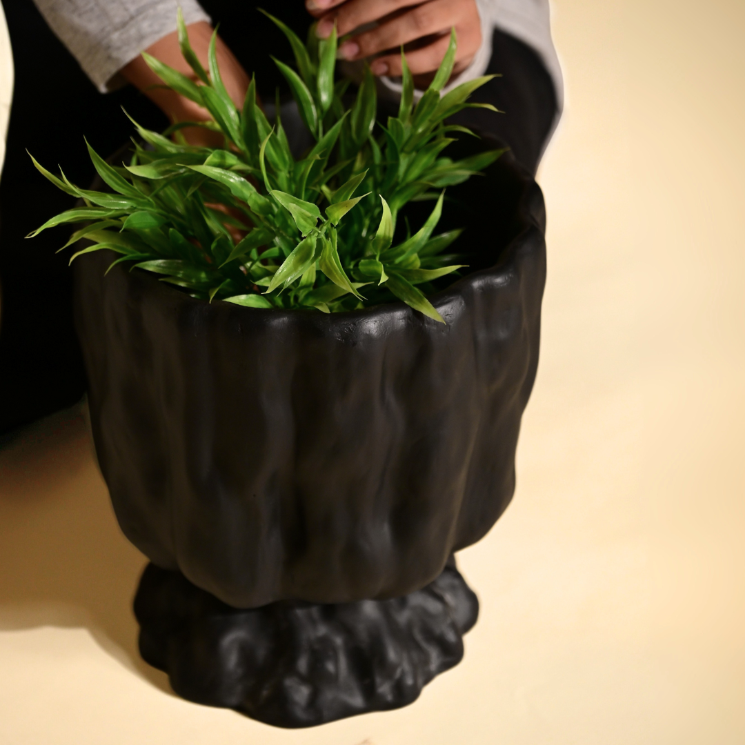 Raya Organic Planter