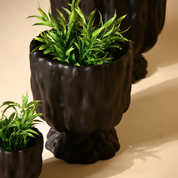 Raya Organic Planter