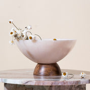 Natural Dried Ammobium Flower Bunch