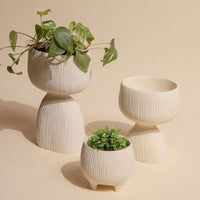 Aden Organic Planter