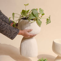Aden Organic Planter