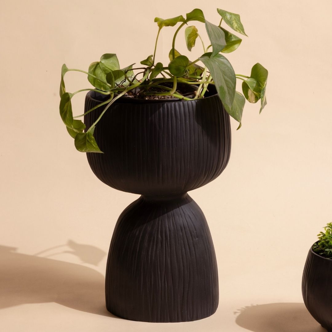 Aden Organic Planter