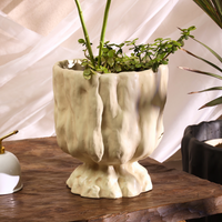 Raya Organic Planter