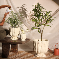 Raya Organic Planter