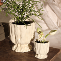 Raya Organic Planter