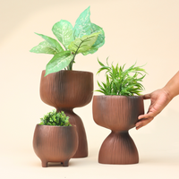 Aden Organic Planter