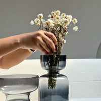 Natural Dried Ammobium Flower Bunch