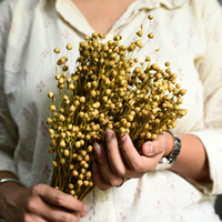 Natural Dried Yellow Flax Flower